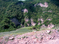 Дагестан. Горы, покрытые лесом (Ахмедов Мухаммад)