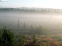 Архангельская область. Тундра в тумане